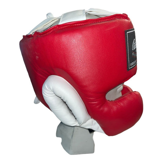 Careta Protector Artes Marciales Mixtas Palomares Fpx